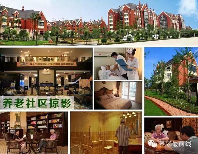 中国人寿集团投资养老地产市场研究